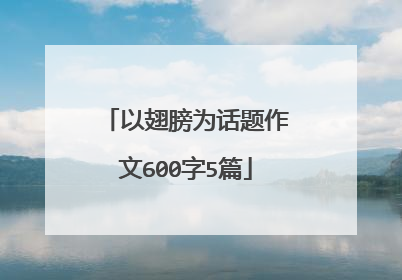 以翅膀为话题作文600字5篇