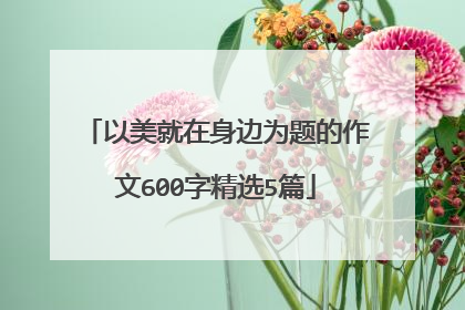 以美就在身边为题的作文600字精选5篇