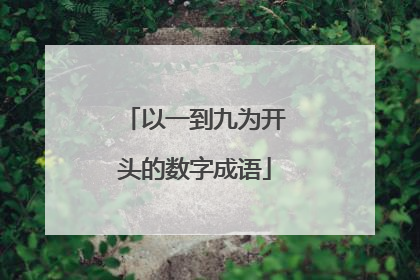 以一到九为开头的数字成语