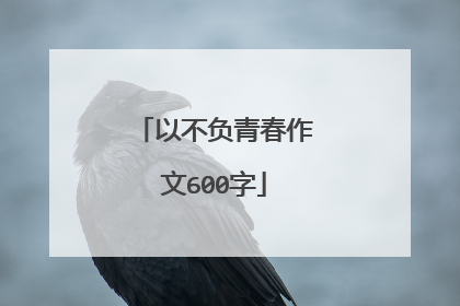 以不负青春作文600字
