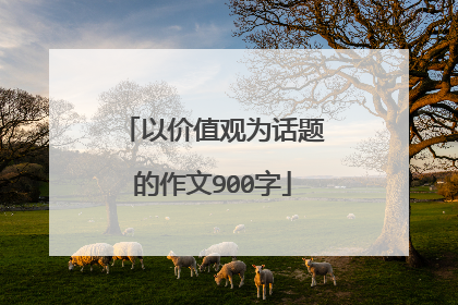 以价值观为话题的作文900字