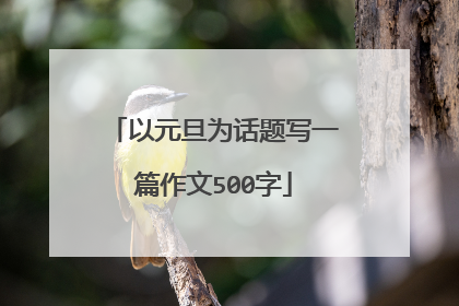 以元旦为话题写一篇作文500字