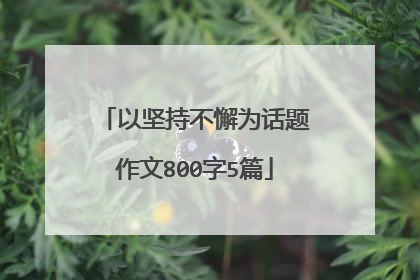 以坚持不懈为话题作文800字5篇