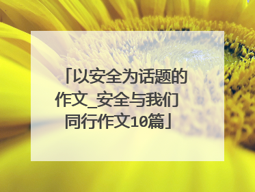 以安全为话题的作文_安全与我们同行作文10篇