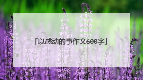以感动的事作文600字