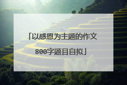以感恩为主题的作文 800字题目自拟
