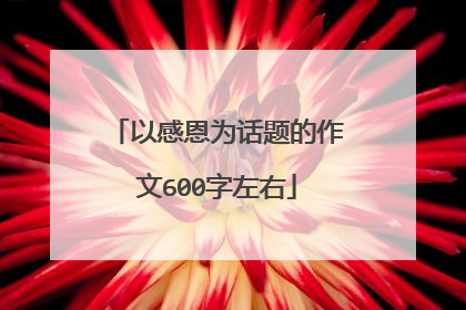 以感恩为话题的作文600字左右