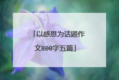 以感恩为话题作文800字五篇