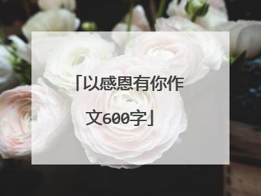 以感恩有你作文600字