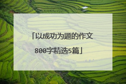 以成功为题的作文800字精选5篇