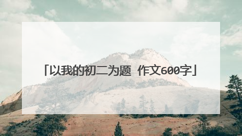 以我的初二为题 作文600字