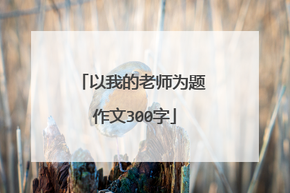 以我的老师为题作文300字