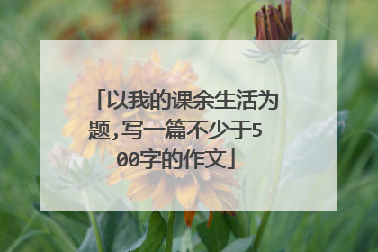 以我的课余生活为题,写一篇不少于500字的作文