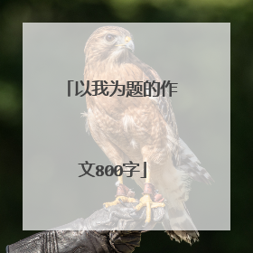 以我为题的作文800字