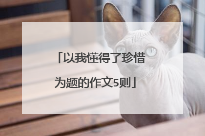 以我懂得了珍惜为题的作文5则