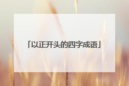 以正开头的四字成语
