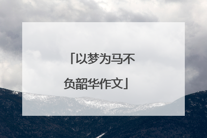 以梦为马不负韶华作文