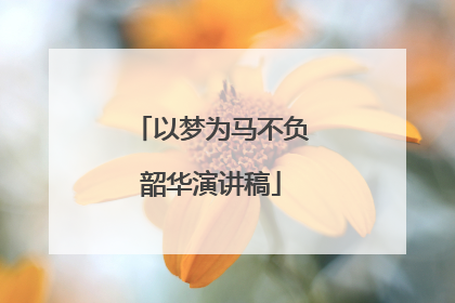 以梦为马不负韶华演讲稿