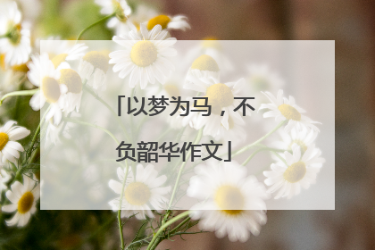 以梦为马，不负韶华作文