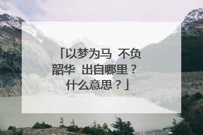 以梦为马 不负韶华 出自哪里? 什么意思?