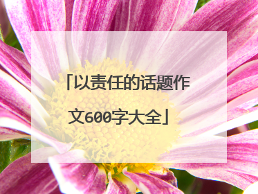 以责任的话题作文600字大全