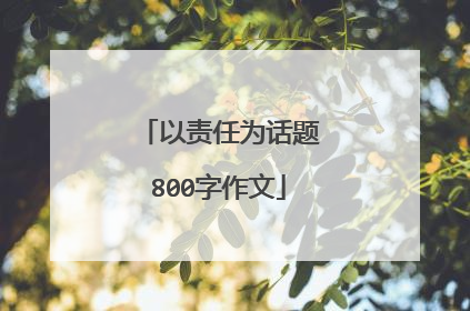 以责任为话题800字作文