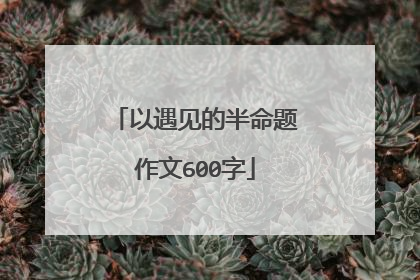 以遇见的半命题作文600字