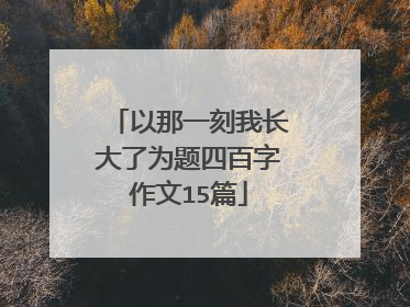 以那一刻我长大了为题四百字作文15篇