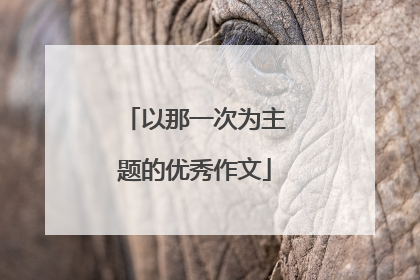 以那一次为主题的优秀作文