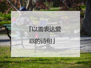 以雪表达爱意的诗句