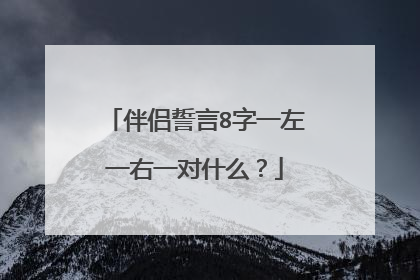 伴侣誓言8字一左一右一对什么?