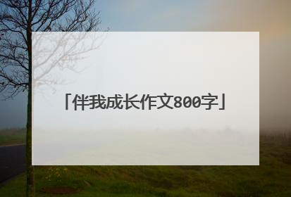 伴我成长作文800字