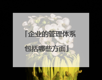 企业的管理体系包括哪些方面