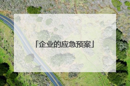 企业的应急预案