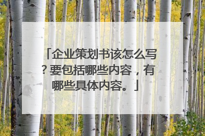 企业策划书该怎么写?要包括哪些内容,有哪些具体内容。