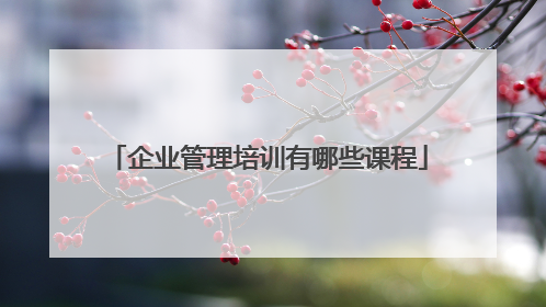 企业管理培训有哪些课程