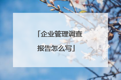 企业管理调查报告怎么写