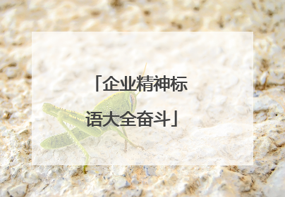 企业精神标语大全奋斗