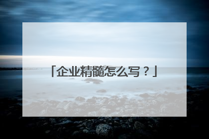 企业精髓怎么写？
