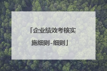 企业绩效考核实施细则-细则