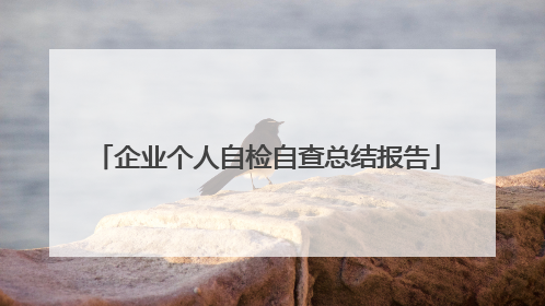企业个人自检自查总结报告