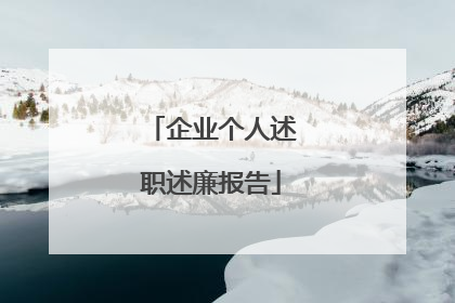 企业个人述职述廉报告