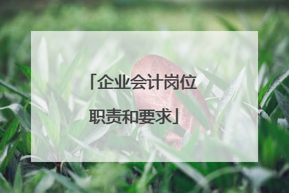 企业会计岗位职责和要求