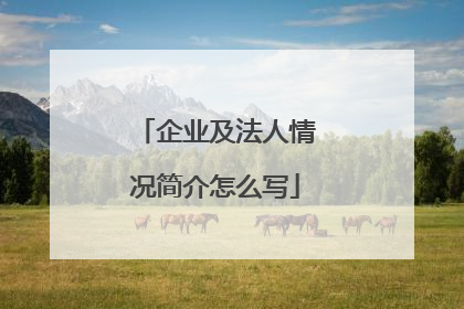 企业及法人情况简介怎么写