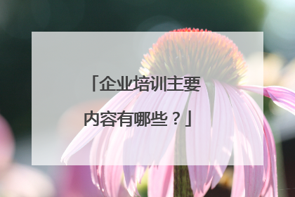 企业培训主要内容有哪些？