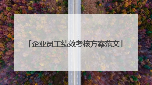 企业员工绩效考核方案范文