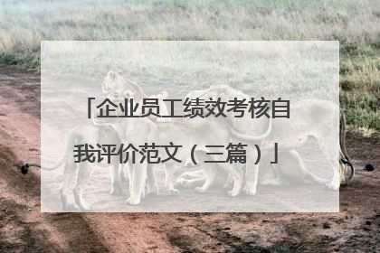 企业员工绩效考核自我评价范文(三篇)