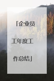 企业员工年度工作总结