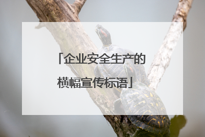 企业安全生产的横幅宣传标语