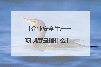 企业安全生产三项制度是指什么